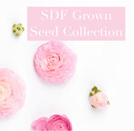 SDF Specialty Seed Collection